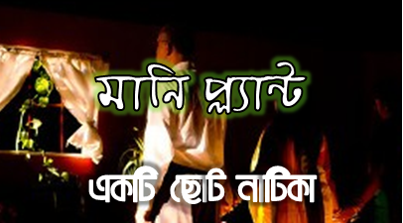 মানি প্লান্ট