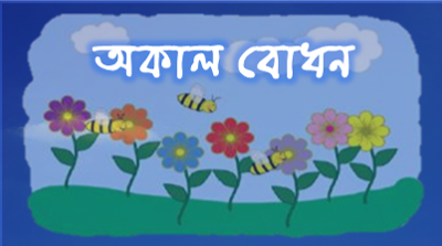 অকাল বোধন
